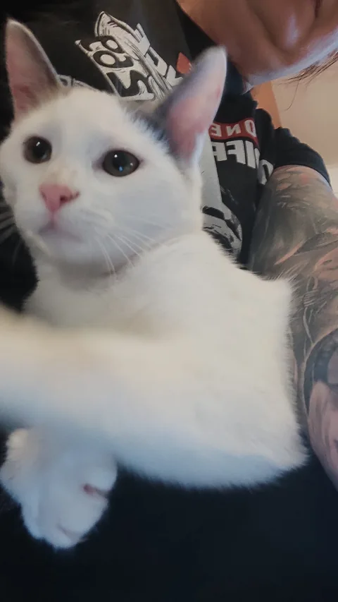 Chloe