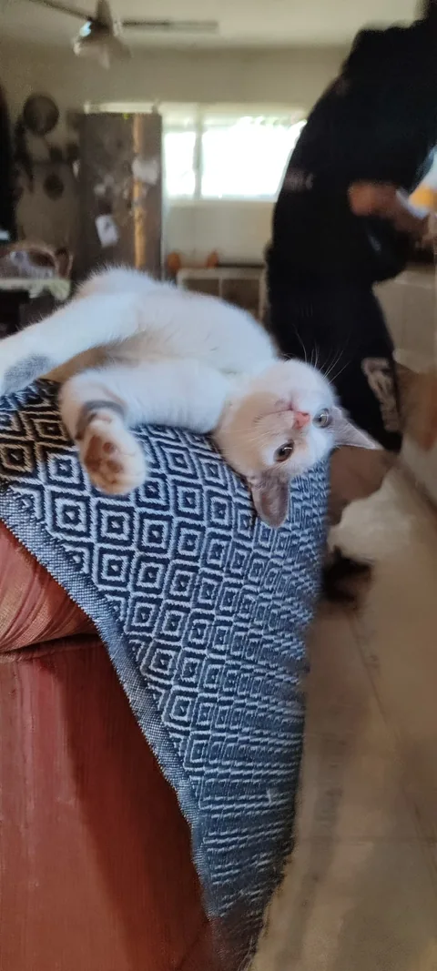 Chloe