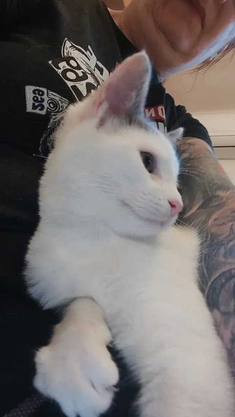 Chloe