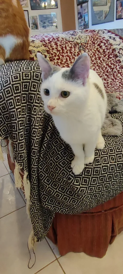 Chloe