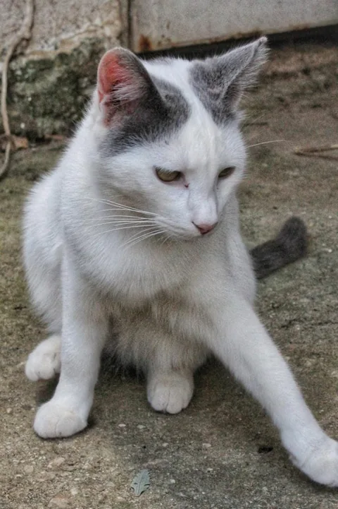 Chloe