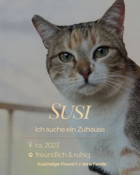 Susi