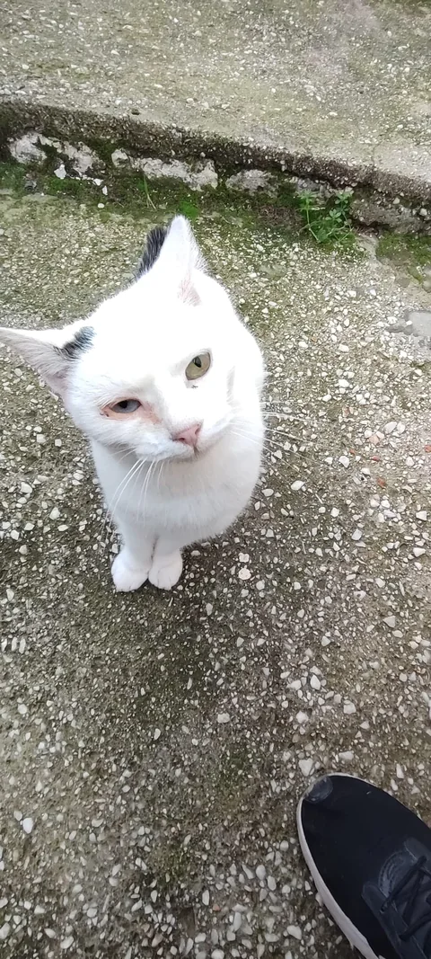 Tinker