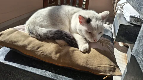 Tinker