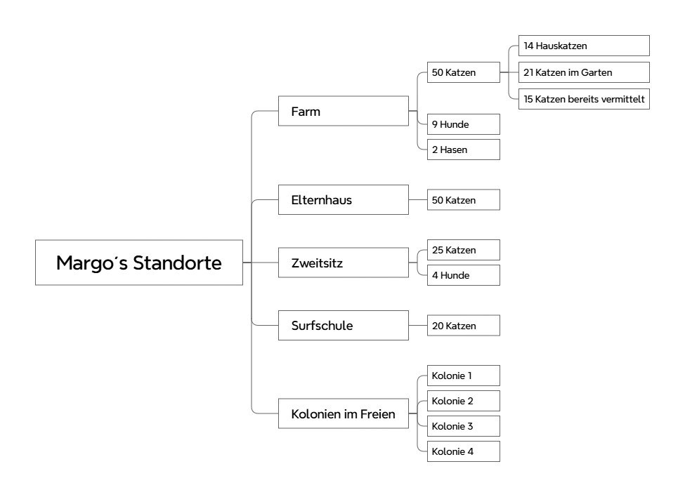 Mindmap mit Margos Versorgungsstandorten: Farm (50 Katzen, 9 Hunde, 2 Hasen), Elternhaus (50 Katzen), Zweitsitz (25 Katzen, 4 Hunde), Surfschule (20 Katzen) und Kolonien im Freien (Kolonie 1–4)